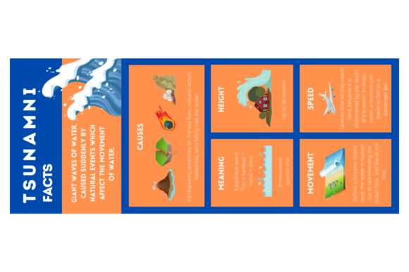 Evaluating Tsunami Infographics for Professional Visual Communication