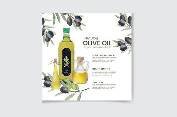 Olive Oil Infographics Watercolor Poster